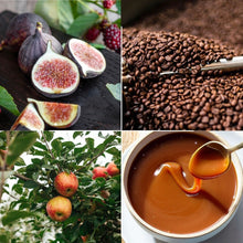 Load image into Gallery viewer, Autumn Affair Body Oil - PureBliss Bath & Body