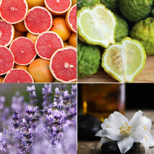 Load image into Gallery viewer, Midnight Coast Body Oil - PureBliss Bath &amp; Body
